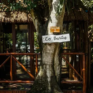  Hotel Eco Banitas Mexico